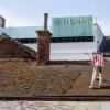 Roof Treatment Can Save Your Roof